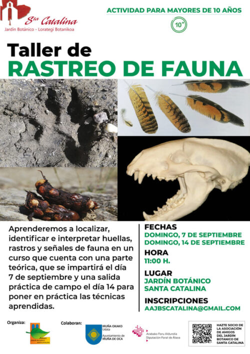 Taller de rastreo