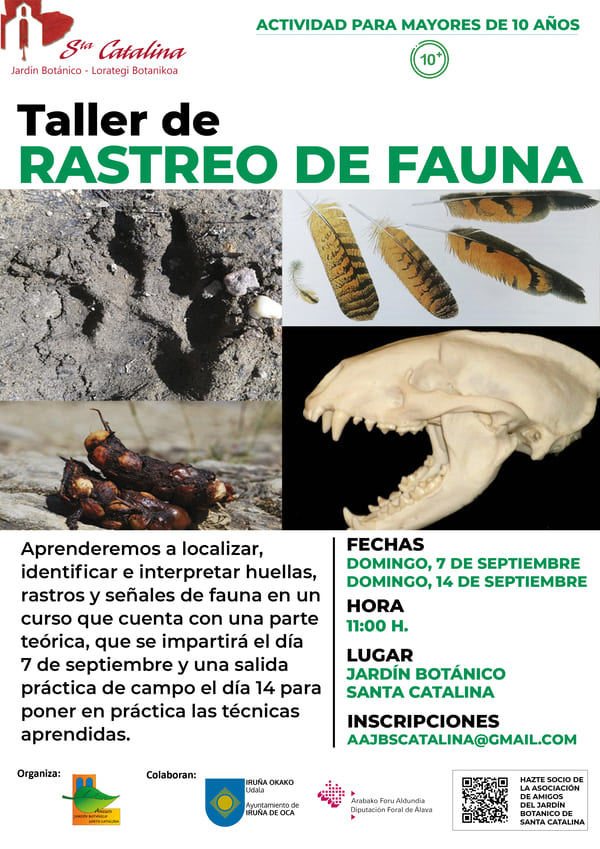 Taller de rastreo