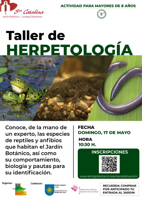 Taller herpetología