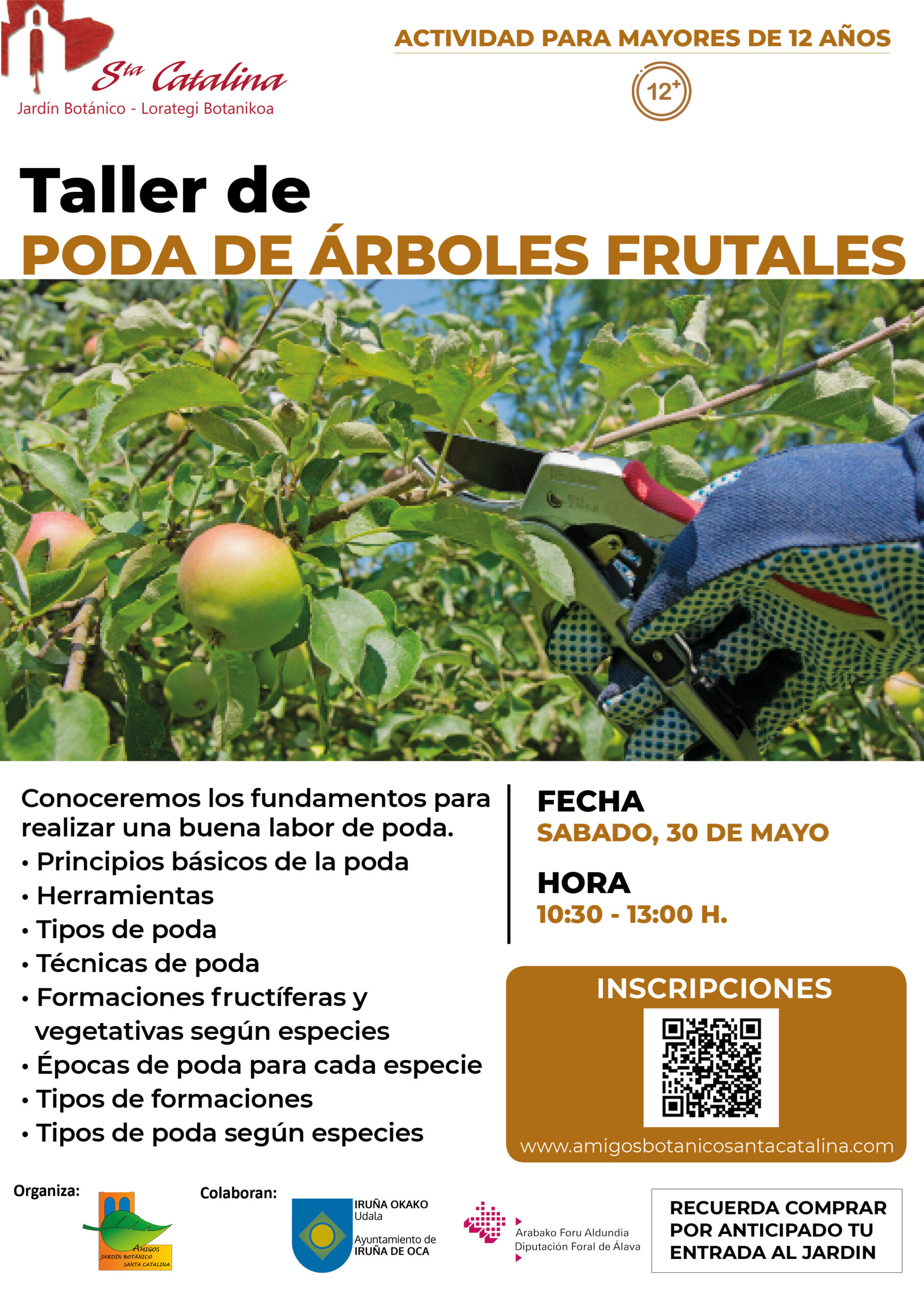 Taller poda de árboles frutales