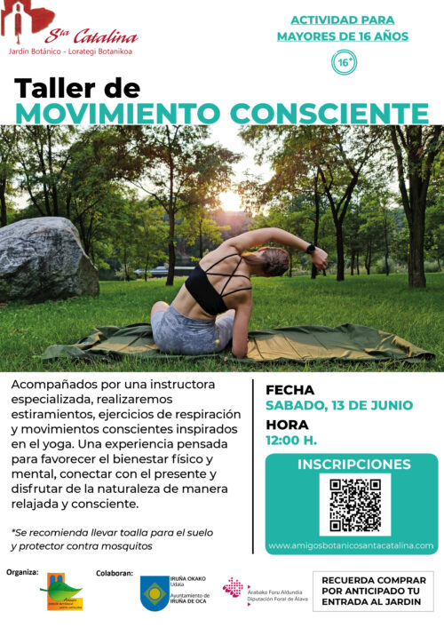 Taller de movimiento consciente