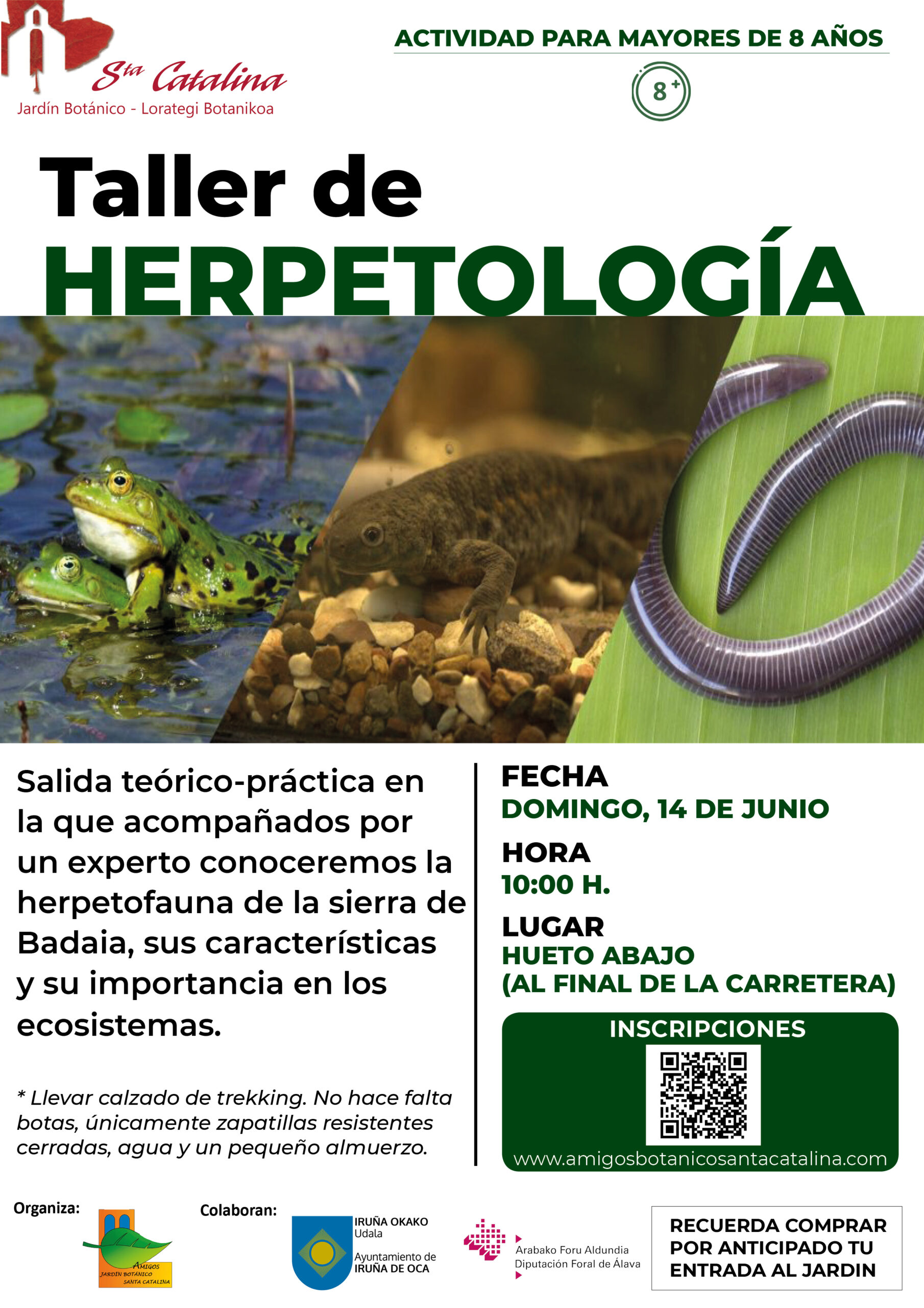 Taller de herpetología