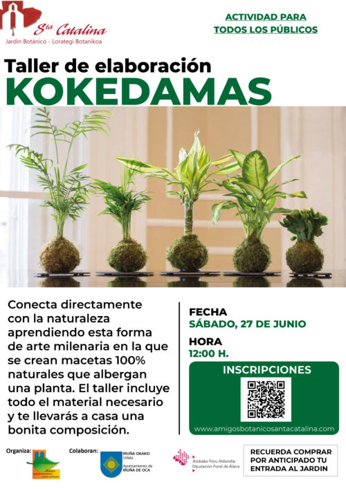 Taller de kokedamas