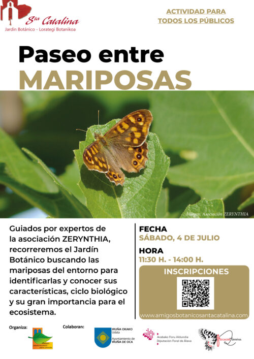 Paseo entre mariposas