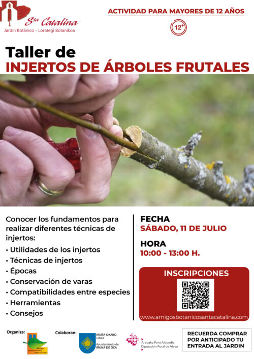 Taller de injertos en frutales