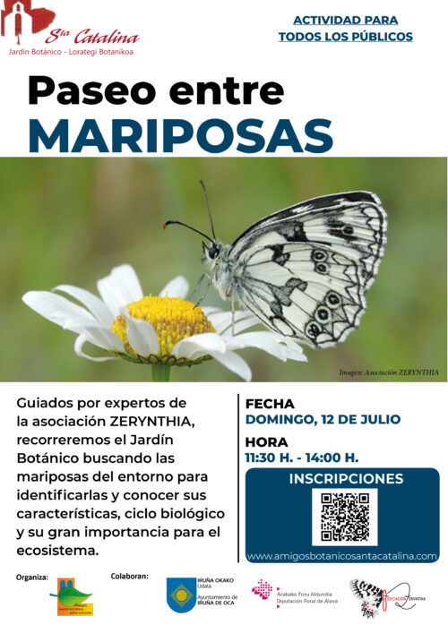 Paseo entre mariposas