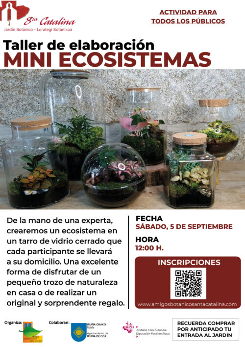 Taller de mini ecosistemas